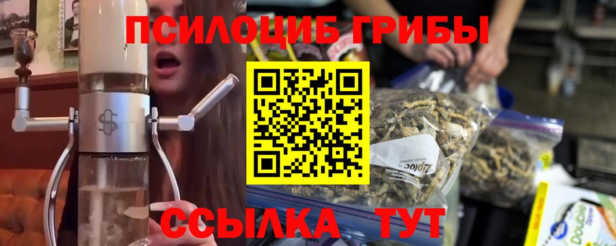 Галлюциногенные грибы GOLDEN TEACHER Среднеуральск