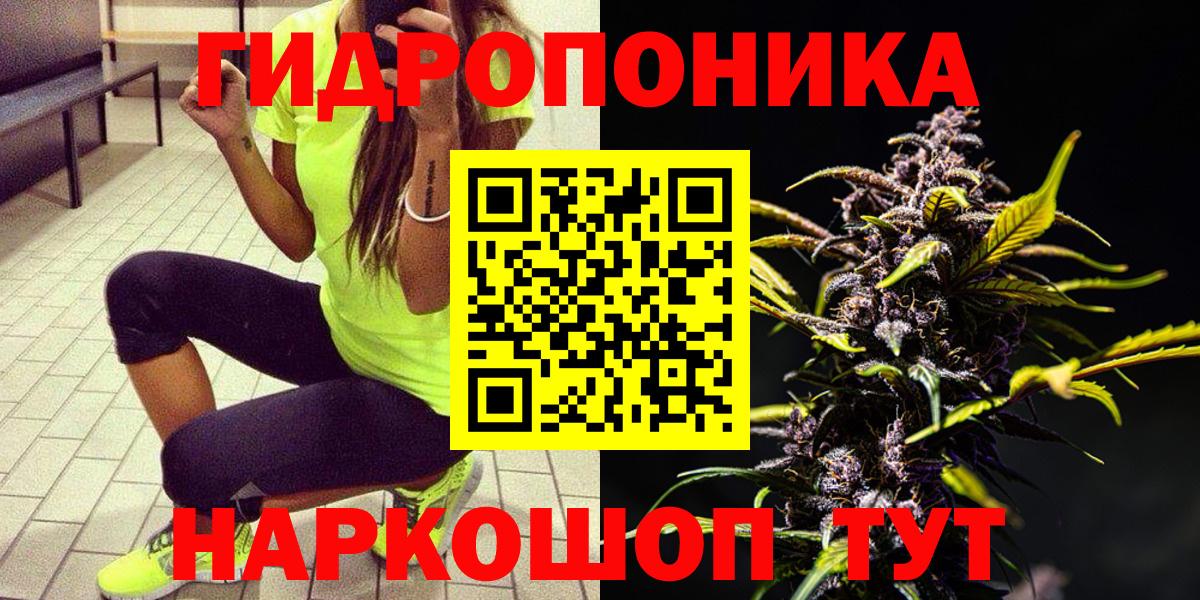 Конопля план  Конопля тримм  Вход с VPN  Среднеуральск  Конопля OG Kush 